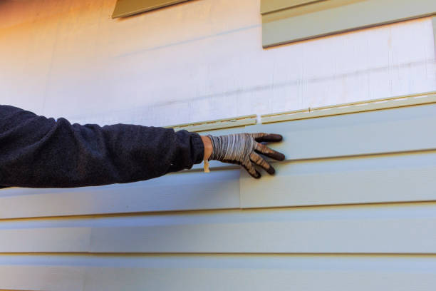 Affordable Siding Repair and Maintenance Services in Kingston, WA